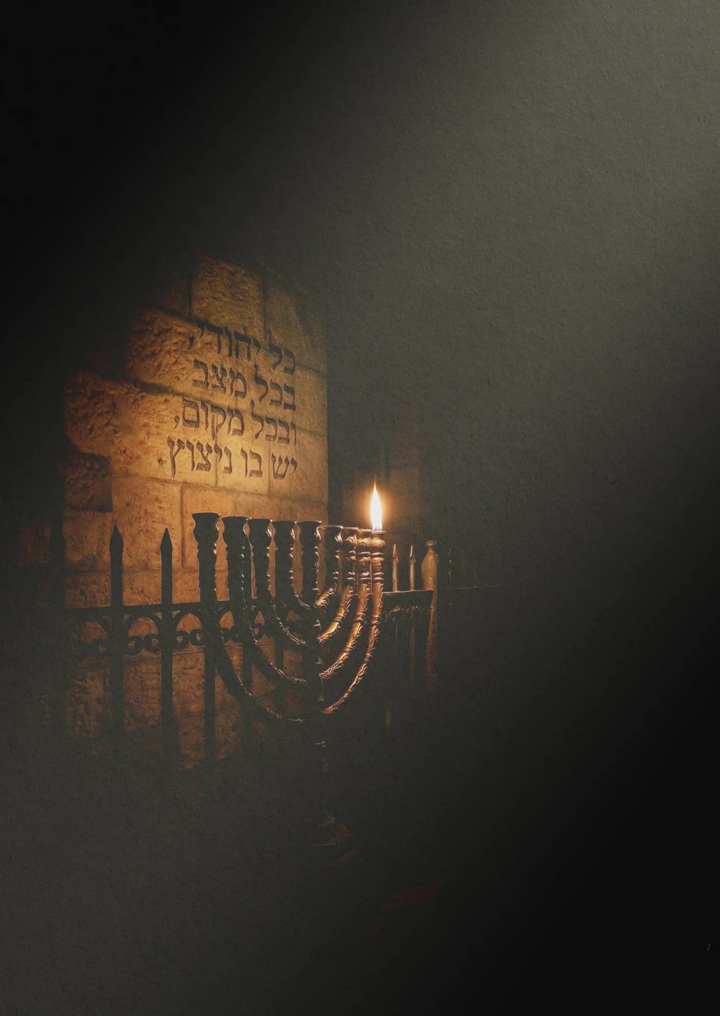 ההצבעה!!!!